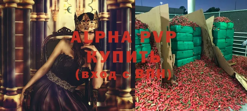 Alpha PVP СК  hydra вход  Нальчик 